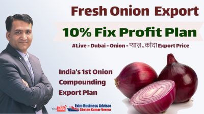 Fix Profit Plan Of Red Onion Export For Dubai Export 1st Time In India